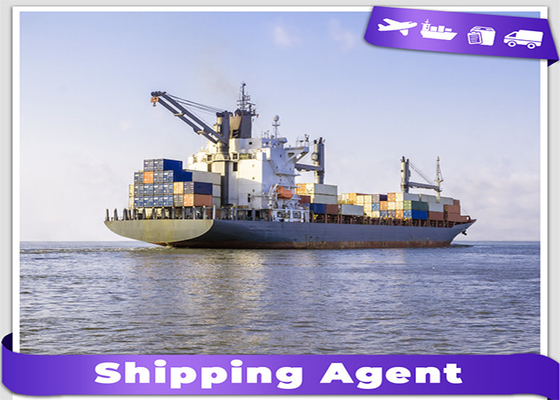 DDP Ocean Freight From China To Singapore 20GP 40GP